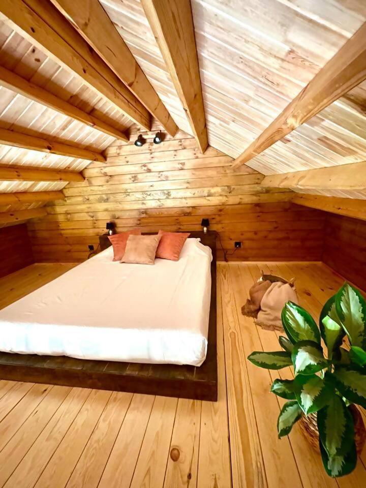 ホテル Mountain Eco Shelter 3 Corujeira de Dentro エクステリア 写真