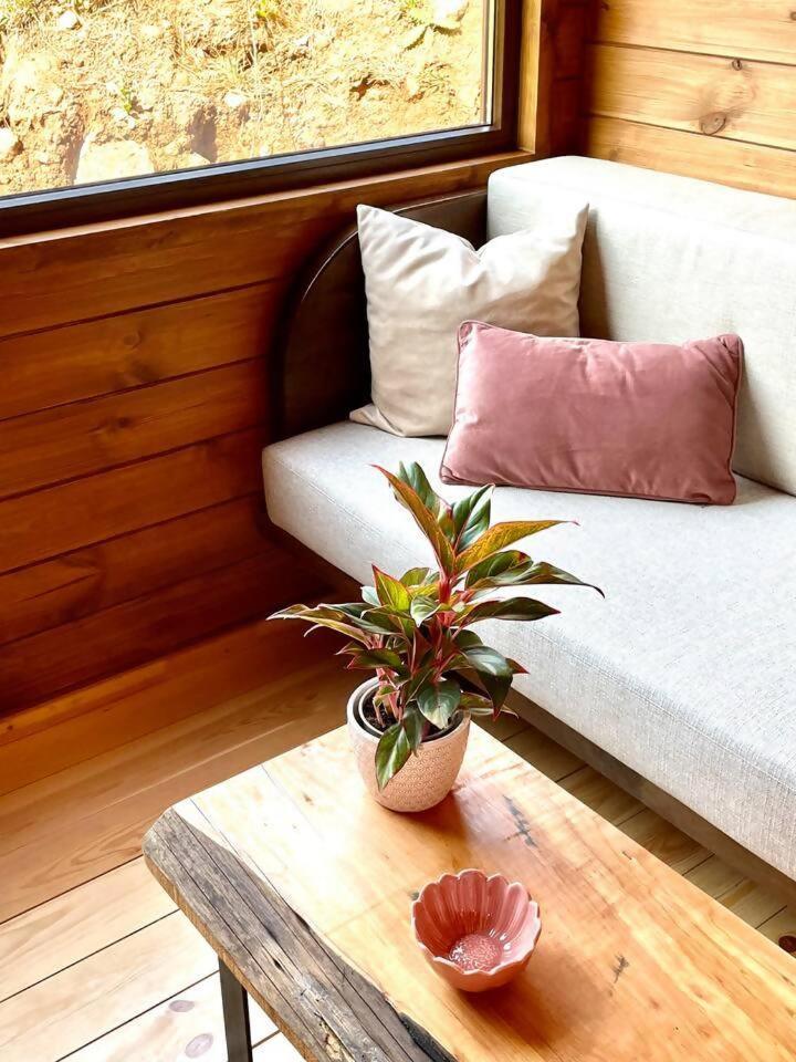 ホテル Mountain Eco Shelter 3 Corujeira de Dentro エクステリア 写真